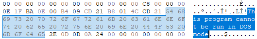 DOS header stub