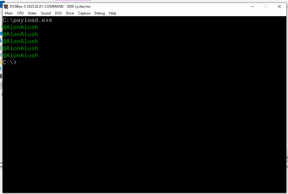 Injected code in DOSBox