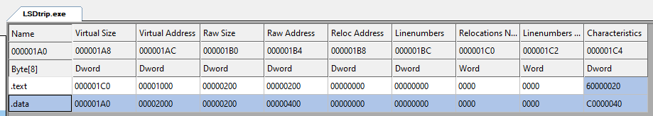 Data segments in CFF Explorer showing the .rdata and .data sections