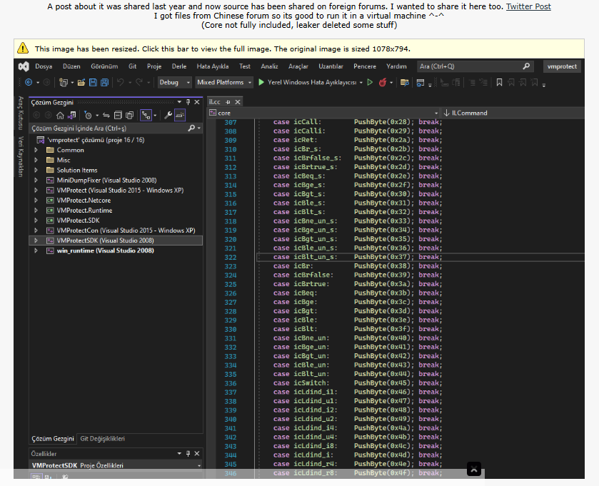 VMProtect initial leak